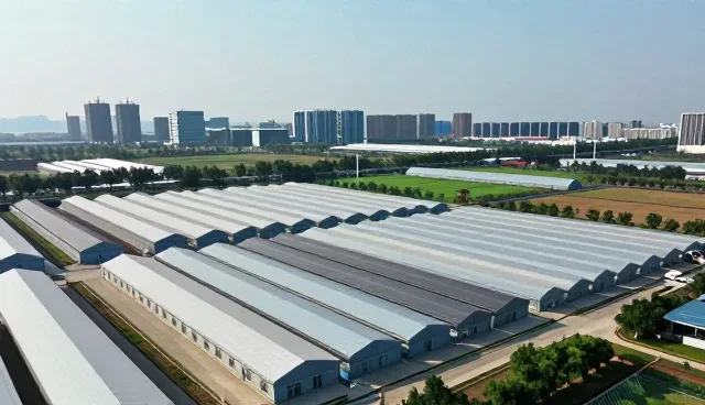 技术转让过程中设计选型的关键考量